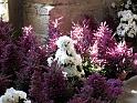 2014-03-01,_Palais (5)